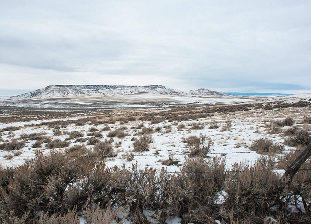 wyo6